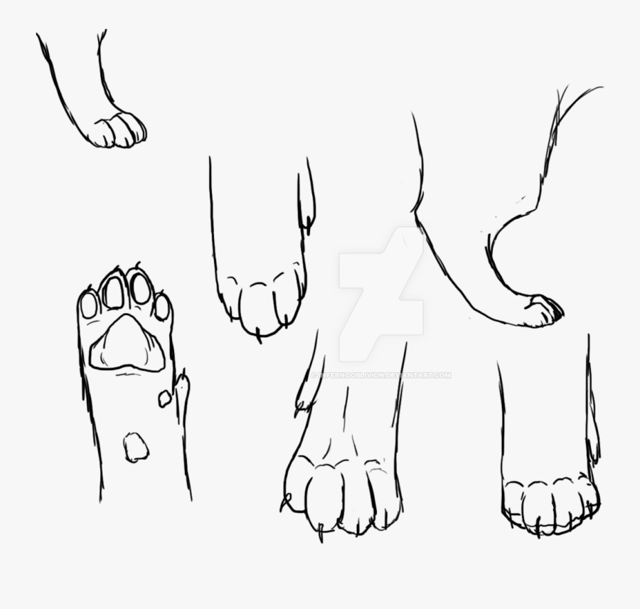 Clip Art Freeuse Download Collection Of Cat Feet High - Drawing Of A Cats Paw, Transparent Clipart