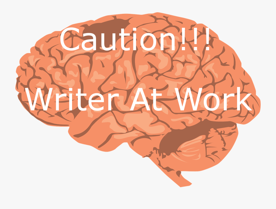 Realistic Brain Clip Art, Transparent Clipart