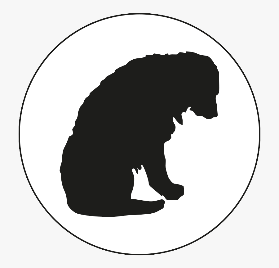 Sun Bear, Transparent Clipart