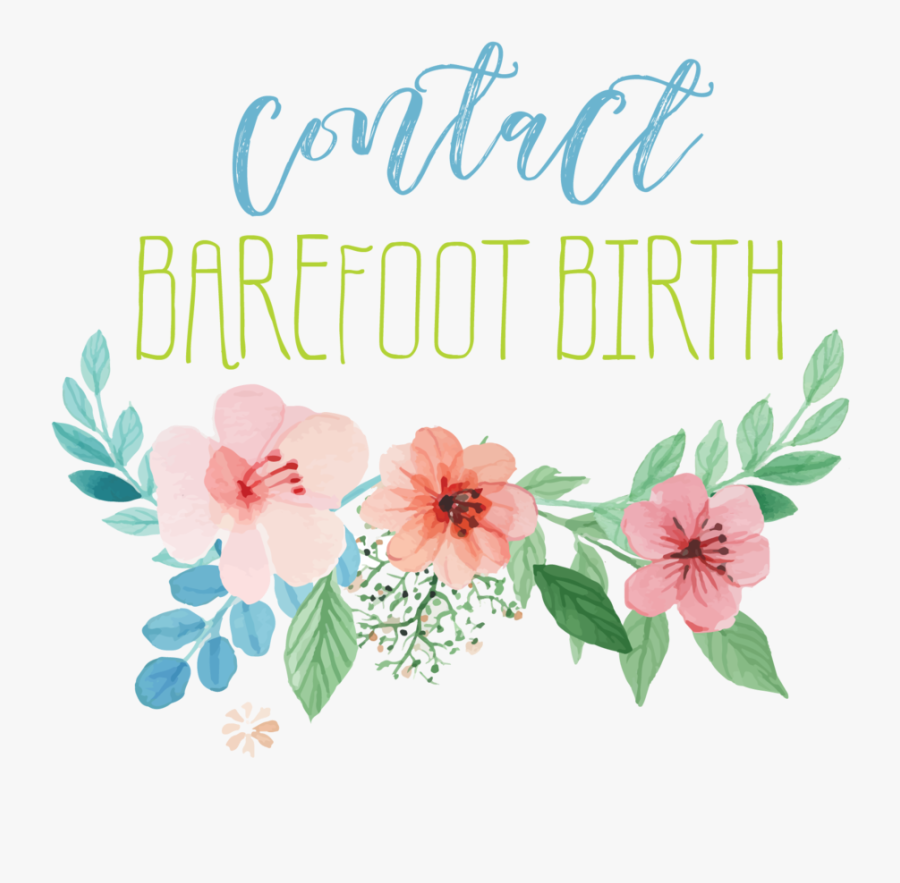 Bfbcontactartboard 36@3x - Gilliflower, Transparent Clipart