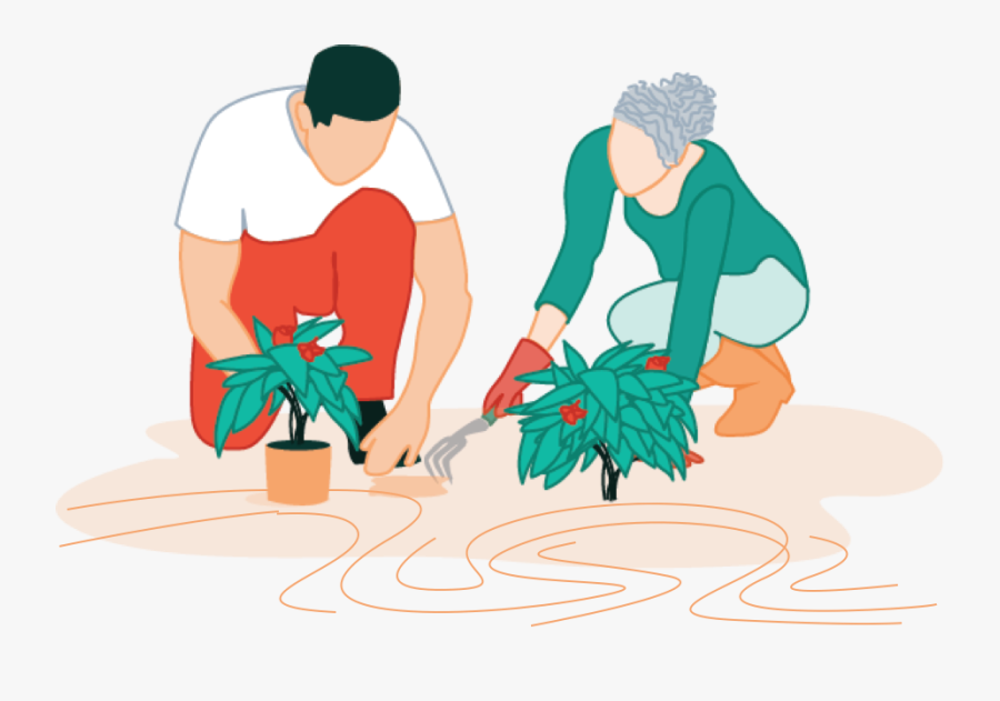 Illustration, Transparent Clipart