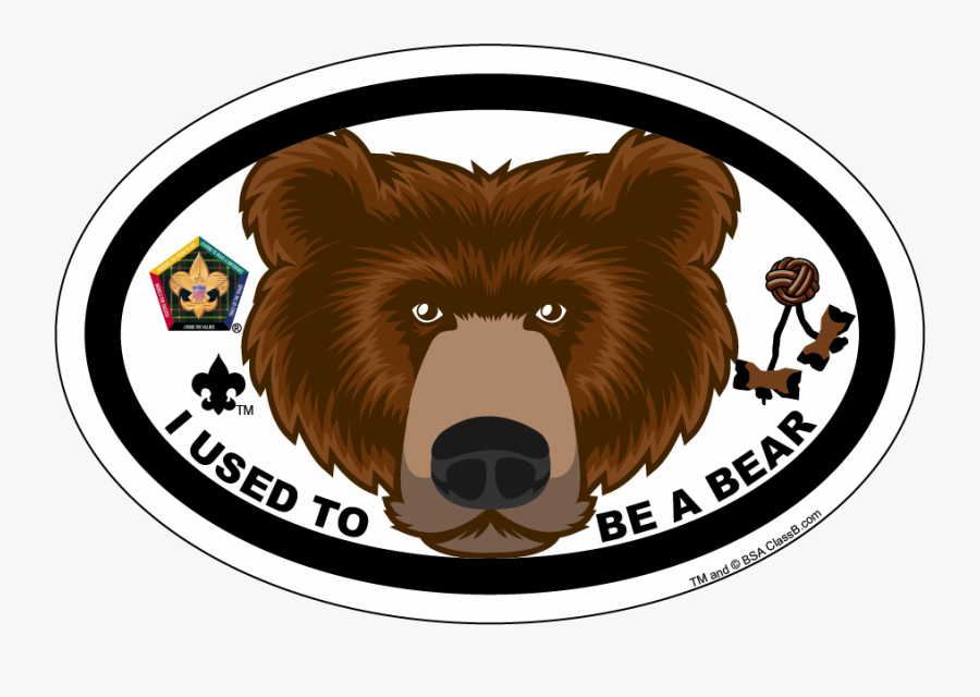 Wood Badge Eagle Car Magnet, Transparent Clipart