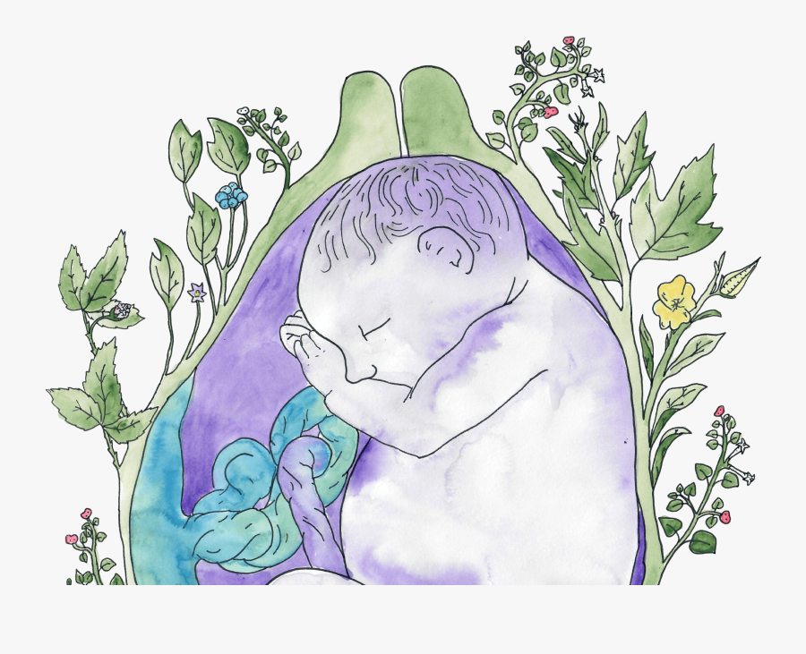 Illustration, Transparent Clipart