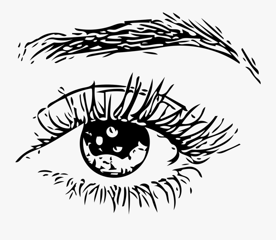 Eye Eye Ball Eyebrows Free Picture, Transparent Clipart