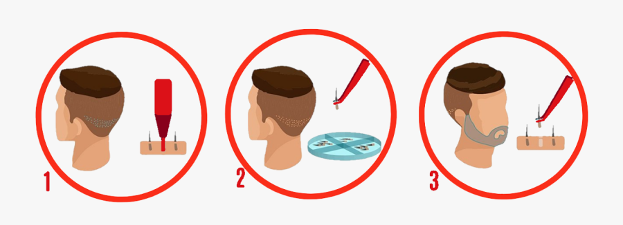 Clip Art, Transparent Clipart