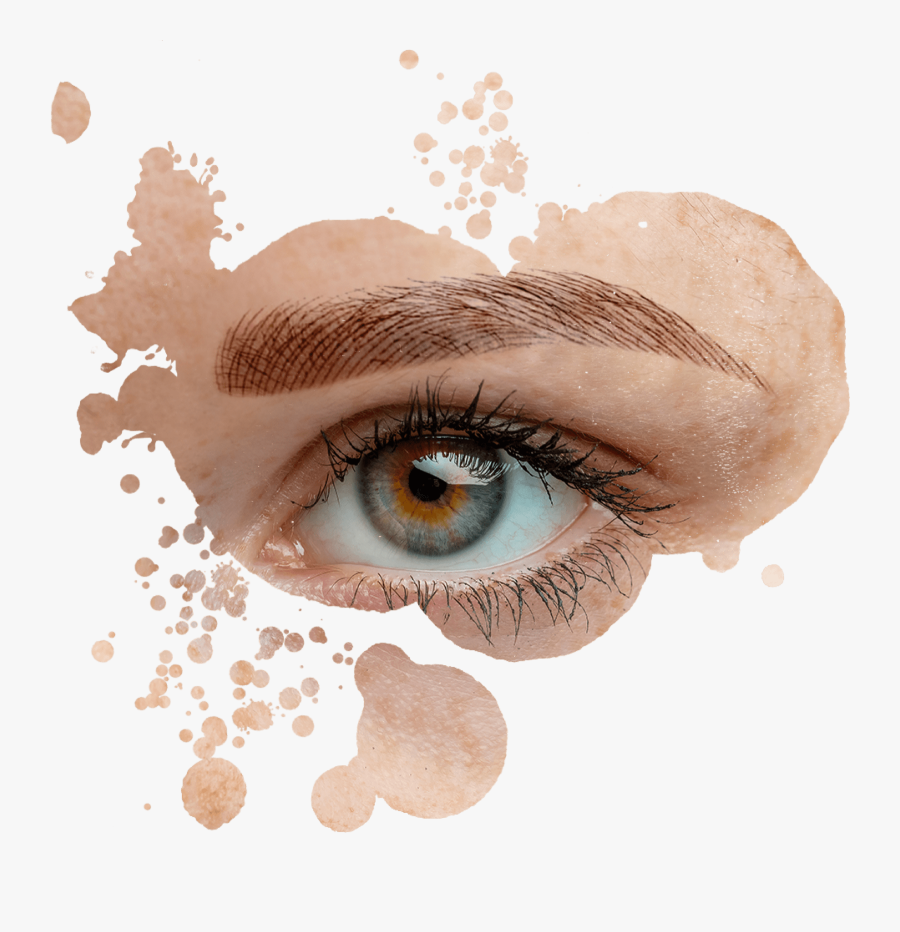 Natural Look By Eva Microblading Services - Eye Shadow, Transparent Clipart