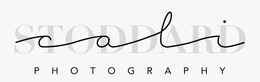 Transparent Blank Transparent Png, Transparent Clipart