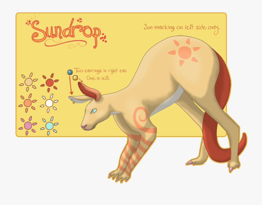 Kangaroo, Transparent Clipart
