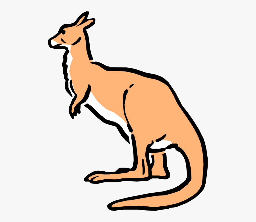 Vector Illustration Of Cartoon Australian Marsupial - Cartoon Australian Kangaroo, Transparent Clipart