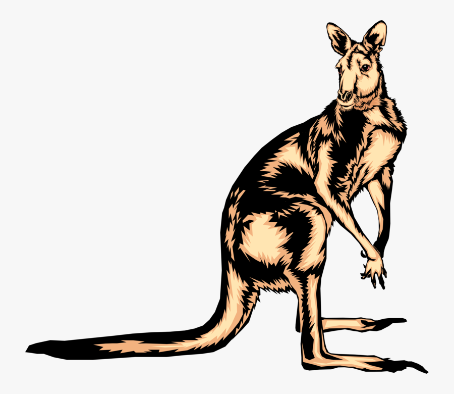 Vector Illustration Of Australian Marsupial Kangaroo - Kangaroo, Transparent Clipart
