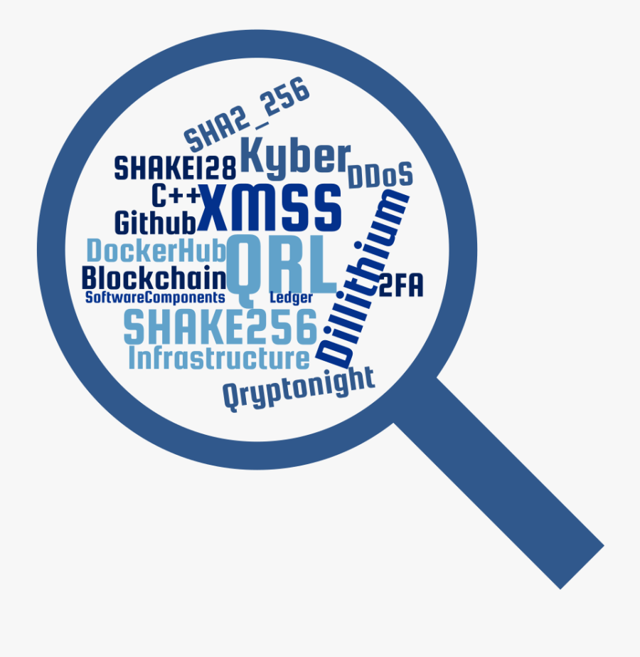 Circle, Transparent Clipart