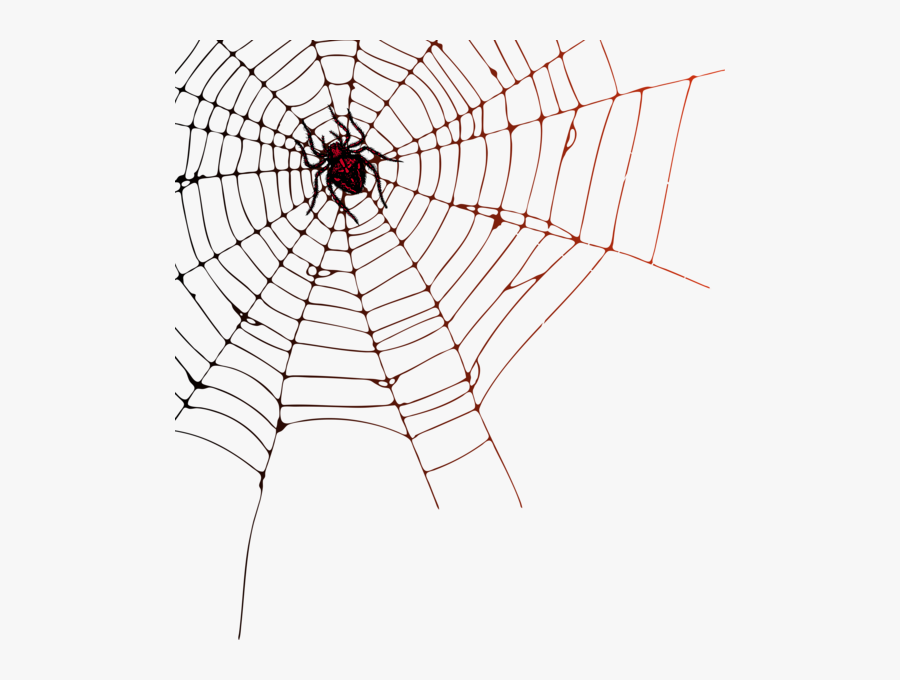 Transparent Cobweb Png - Transparent Background Spider Web Png, Transparent Clipart