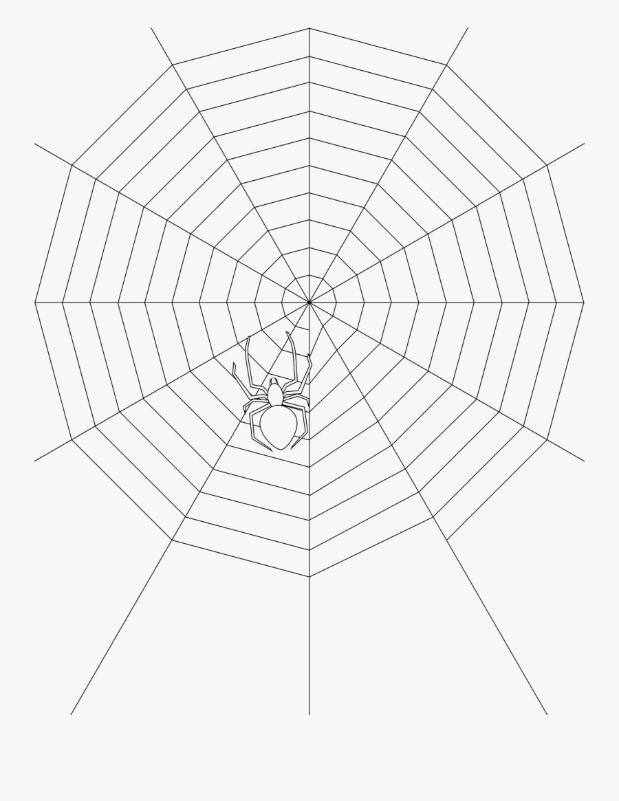 Spiders Web Drawing At Getdrawings - Orb Weaver Web Drawing, Transparent Clipart