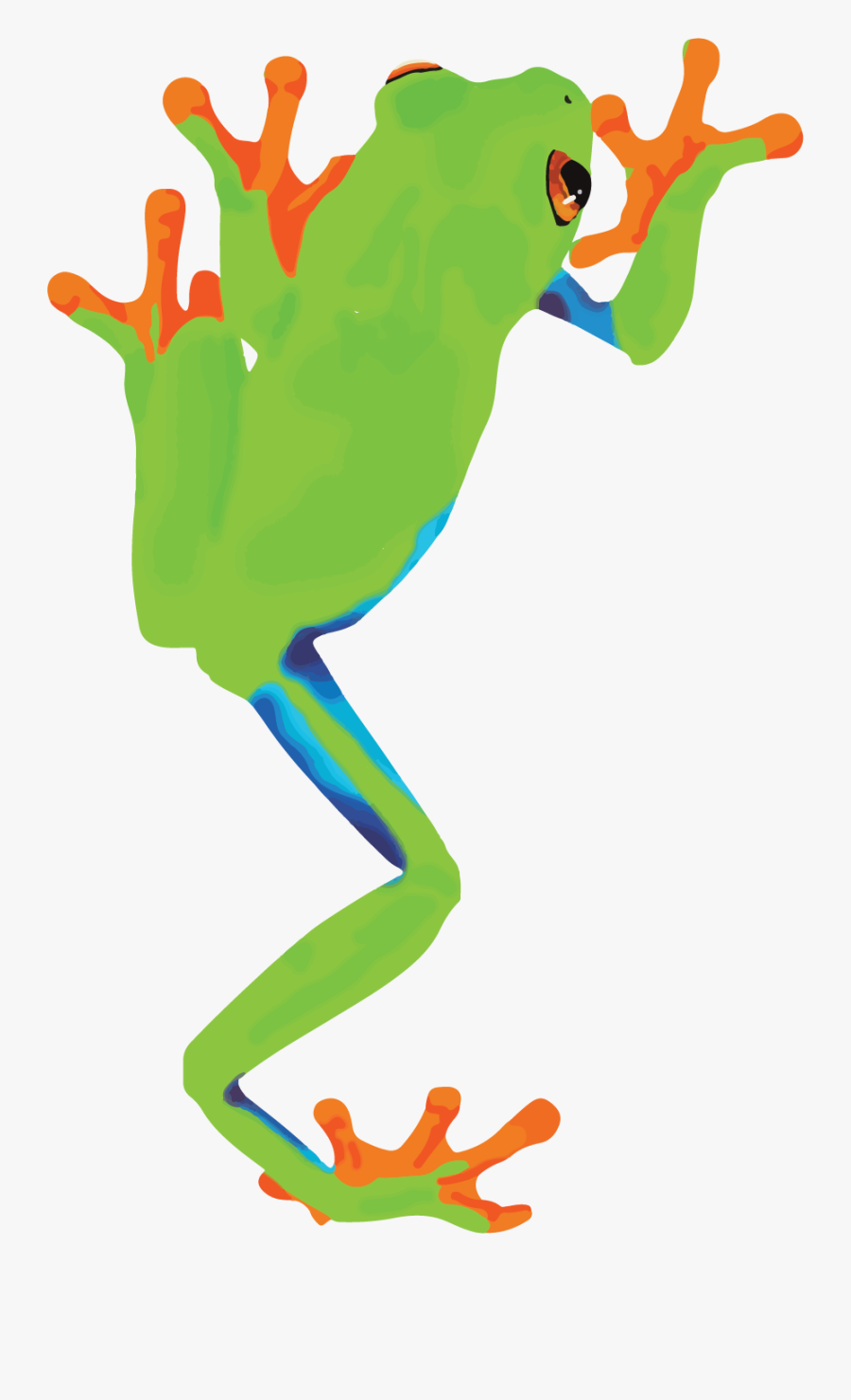 Australian Tree Frog Waving, Transparent Clipart