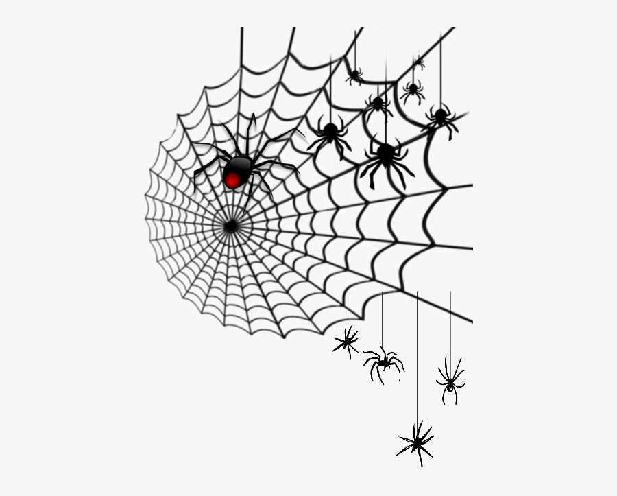 Spider Web, Transparent Clipart