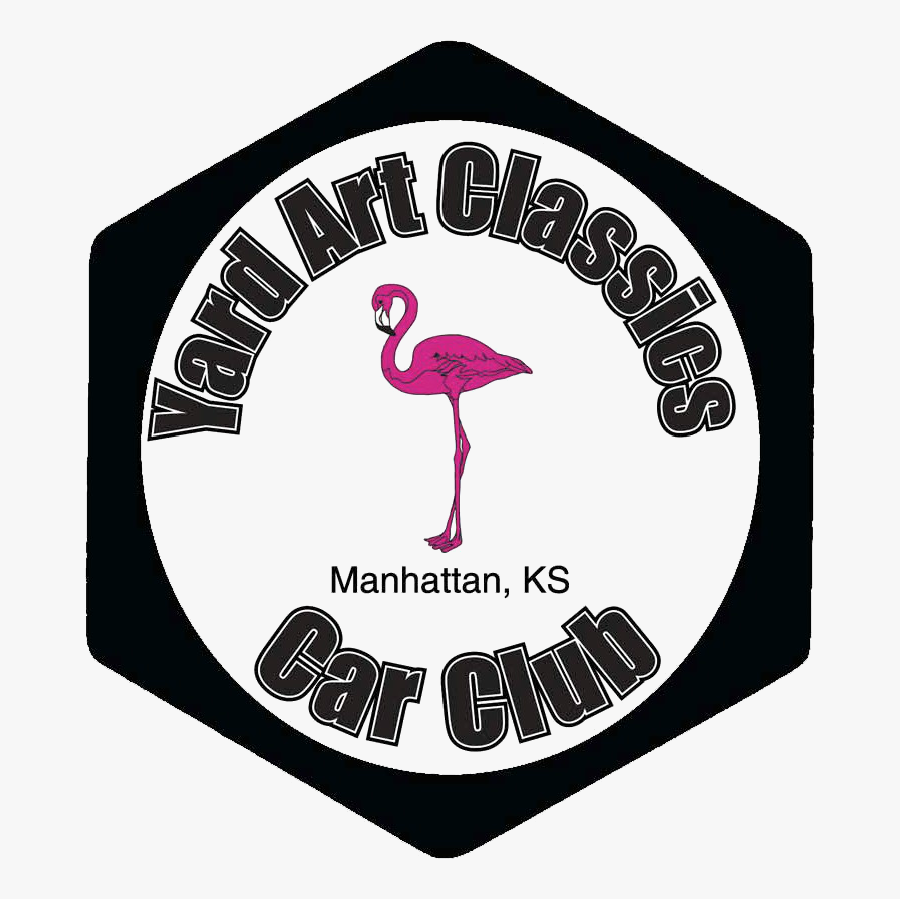 Greater Flamingo, Transparent Clipart