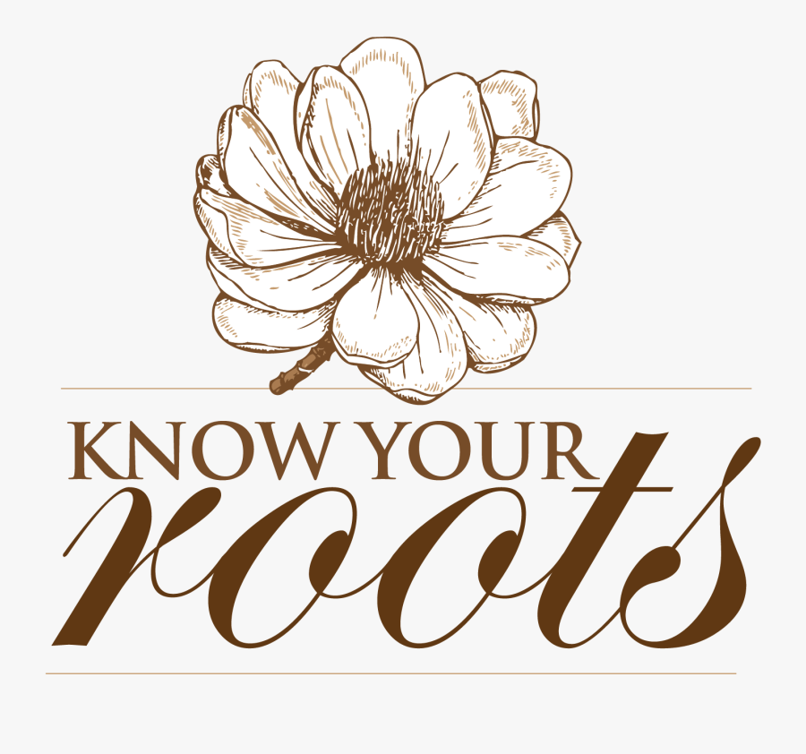 Know Your Roots Logo - African Daisy, Transparent Clipart