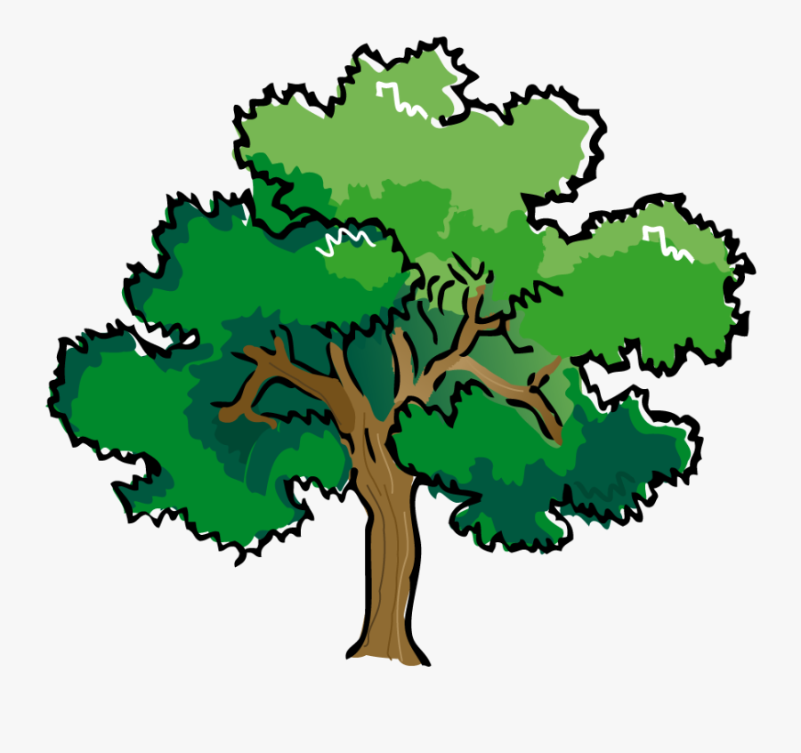 Transparent Blt Clipart - Large Oak Tree Clipart, Transparent Clipart