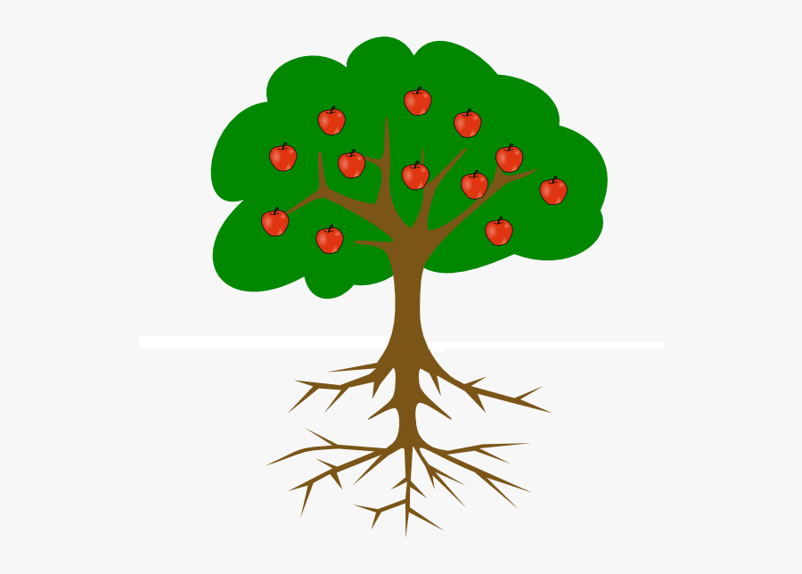 Tree Drawing With Fruits, Transparent Clipart