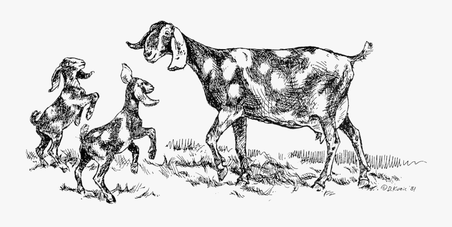 Goat Clipart Foot - Cartoon, Transparent Clipart