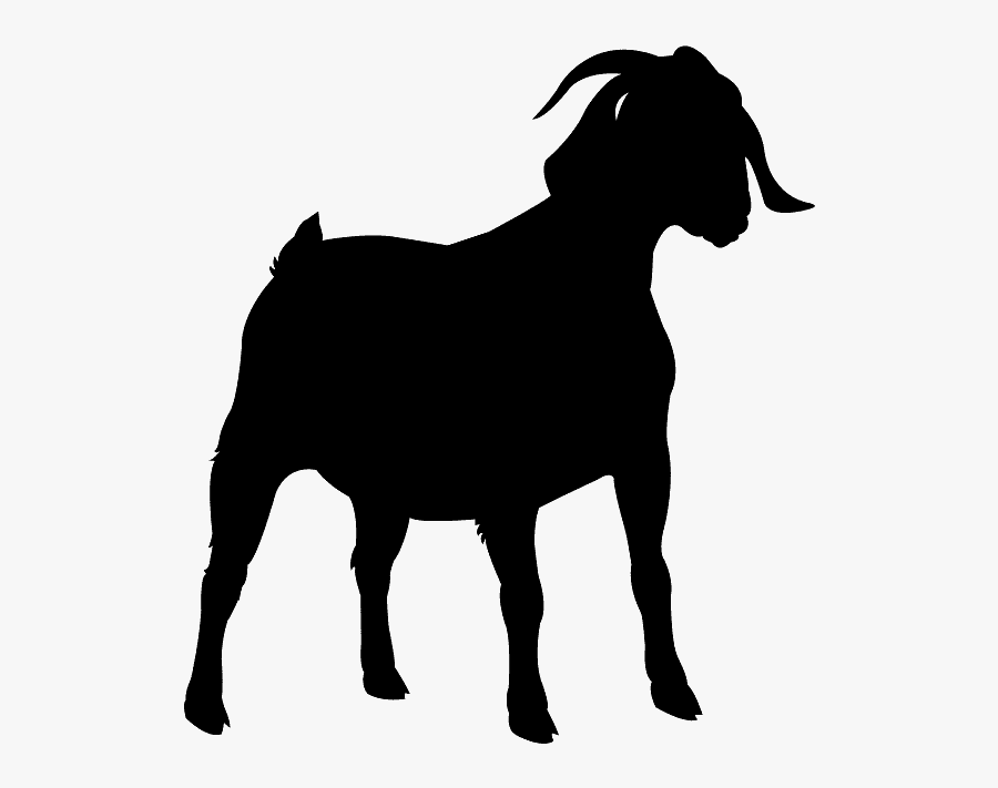 Transparent Background Horse Galloping Gif, Transparent Clipart