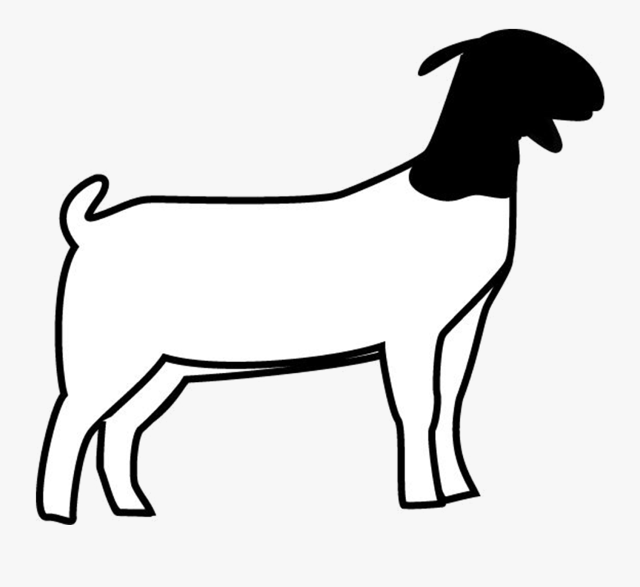 Easy To Draw Boer Goat, Transparent Clipart