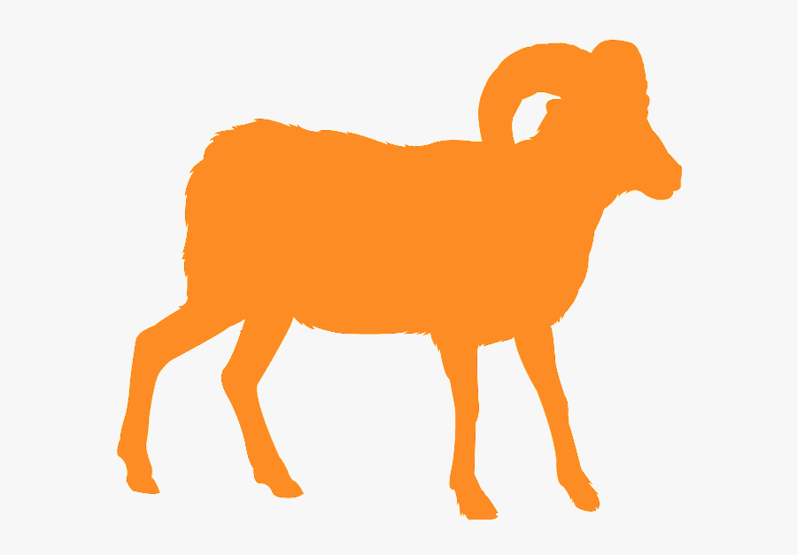Bighorn, Transparent Clipart