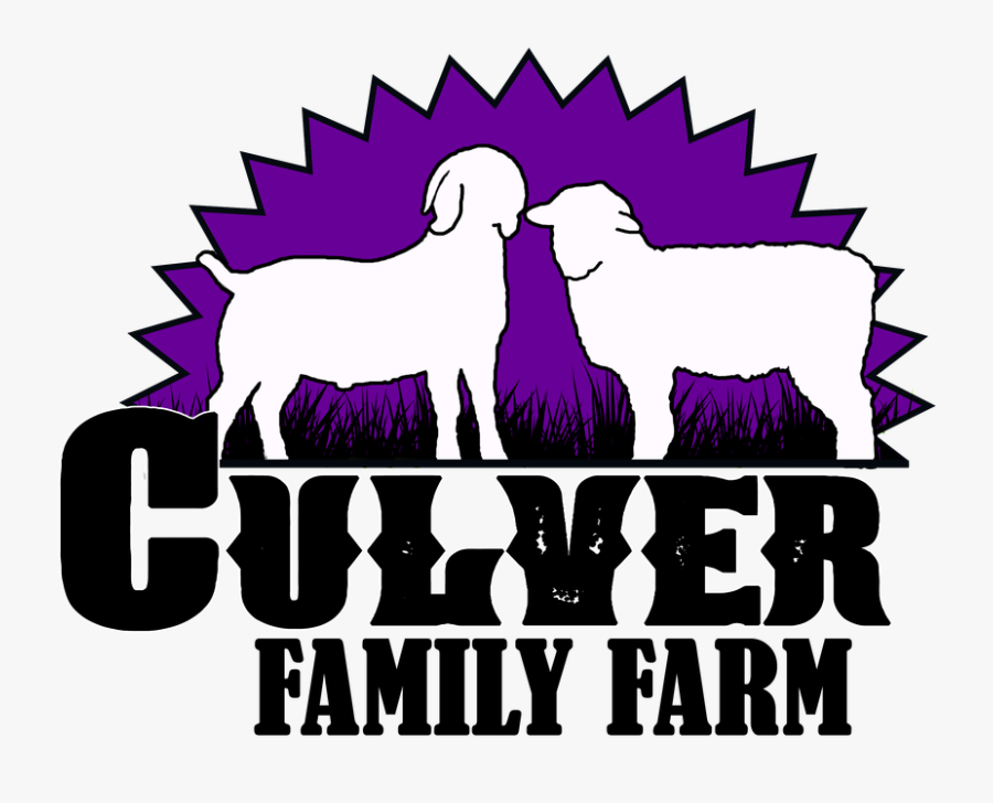 Picture - Illustration, Transparent Clipart