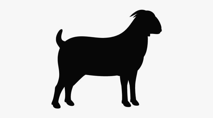 Southern Maryland Meats Goat Producers - Australian Cattle Dog Silhouette, Transparent Clipart