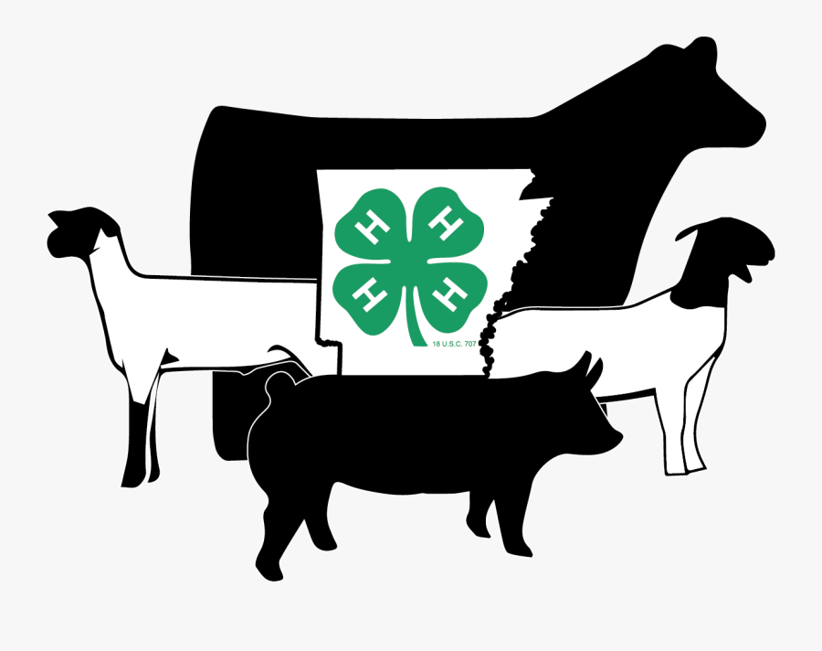 4-h Livestock - Show Pigs Decal, Transparent Clipart