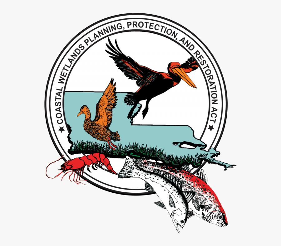 Coastal Wetlands Planning Protection And Restoration, Transparent Clipart