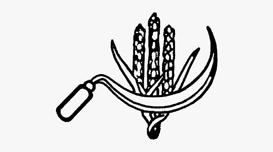 Indian Election Symbol Ears Of Corn And Sickle, Transparent Clipart