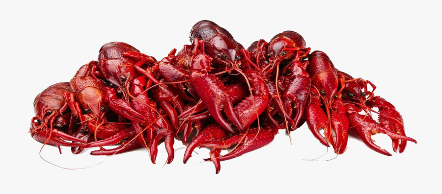 Crawfish Png Free Images - Crawfish Boil Png, Transparent Clipart