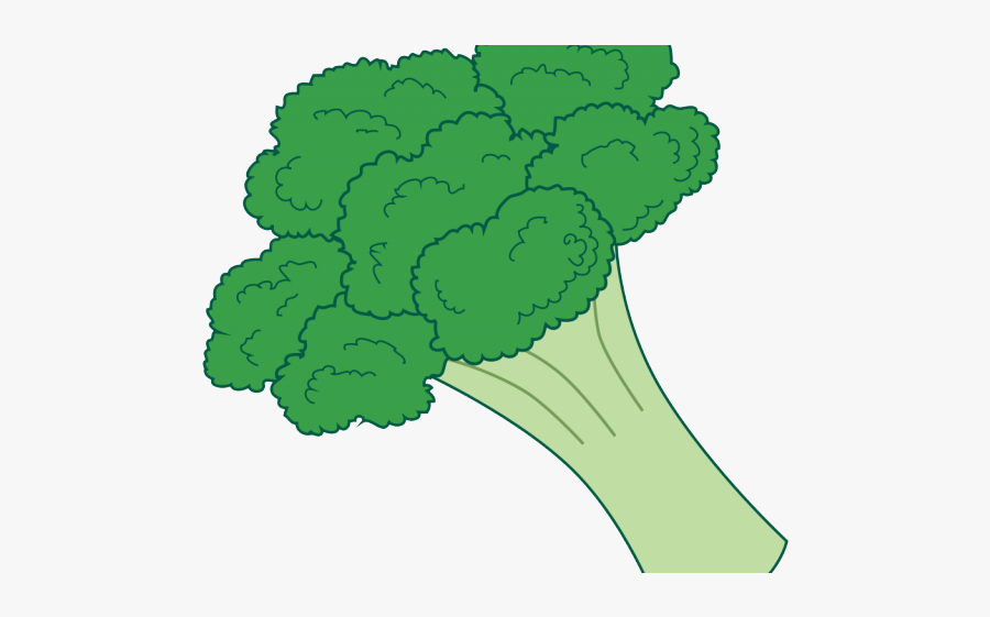 Transparent Background Broccoli Clipart, Transparent Clipart