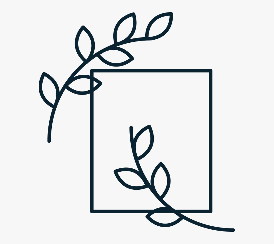 Diploma, Paper, Certificate, Scroll, Graduation, Transparent Clipart