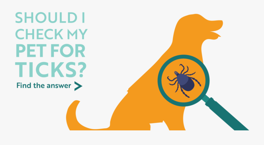 Should I Check My Pet For Ticks Find The Answer, Transparent Clipart