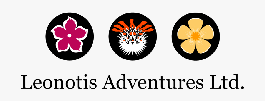 Adventures-transparent, Transparent Clipart