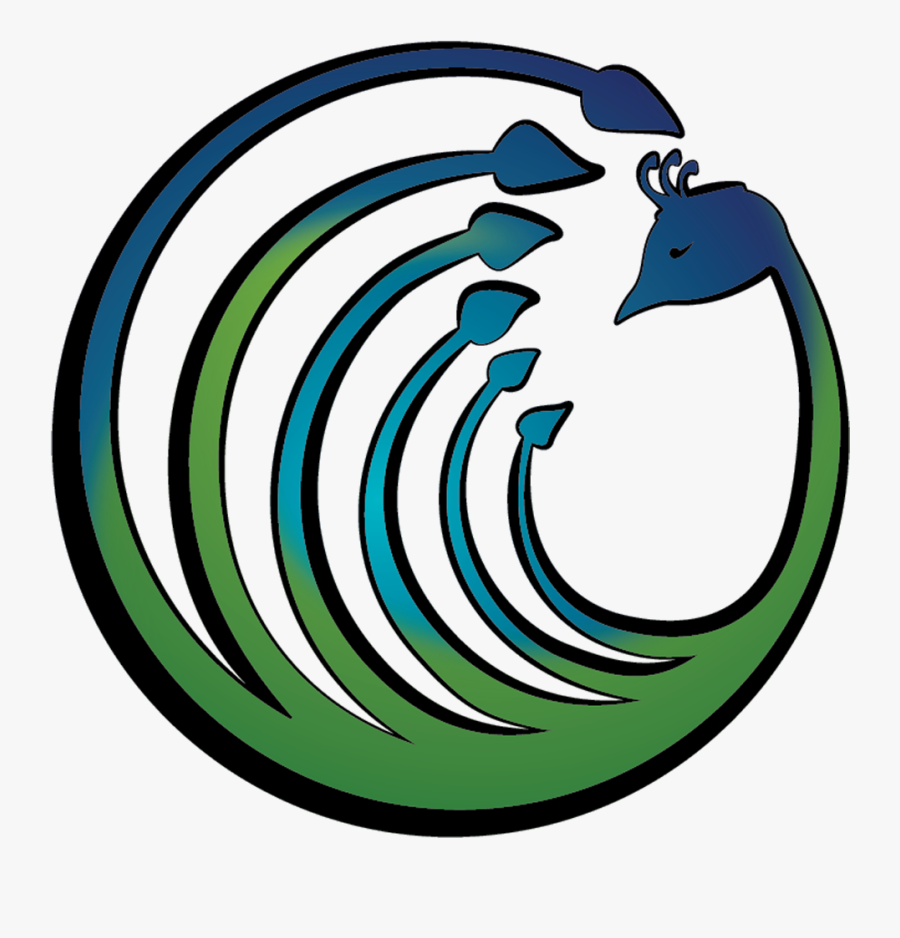 Aparajita Jeedigunta, Phd, Transparent Clipart