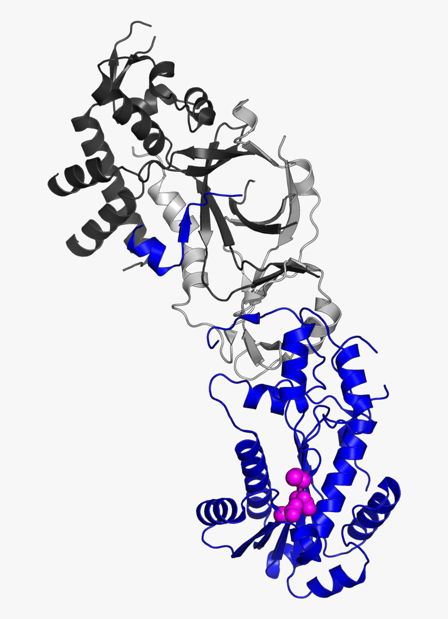 3puf Highlight Subunit A - Rnaseh2b, Transparent Clipart