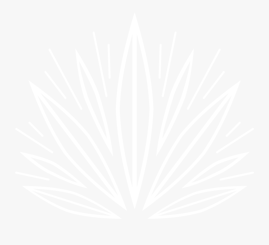 Bloom Farms - Bloom Farms Logo, Transparent Clipart