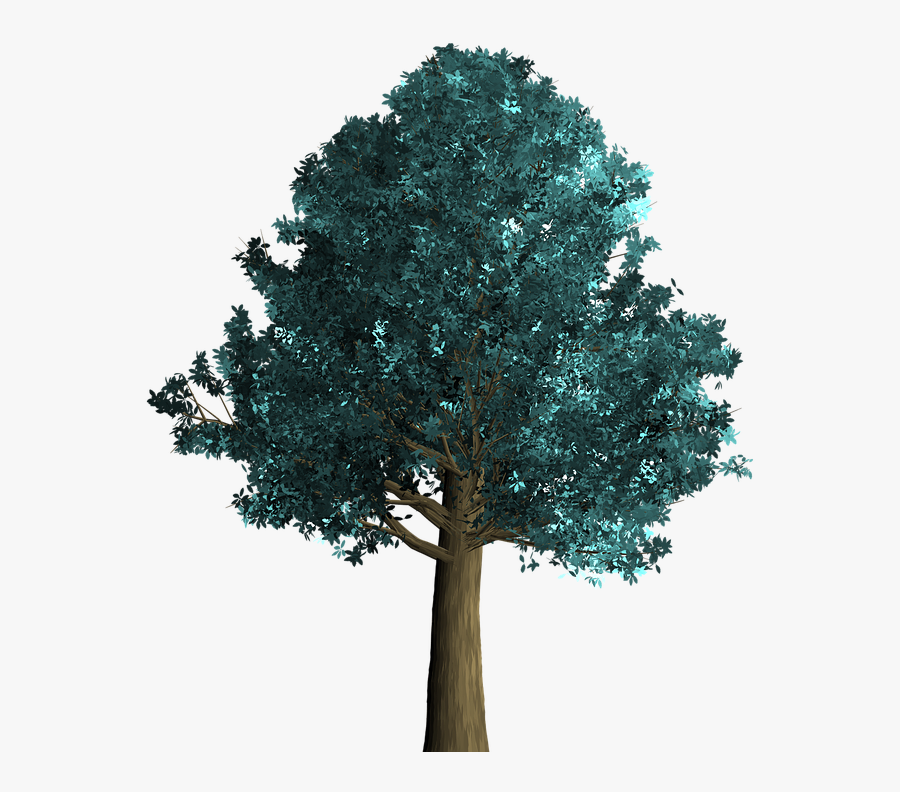 Tree, Decorative, Green, Foliage, Branch - Tree, Transparent Clipart