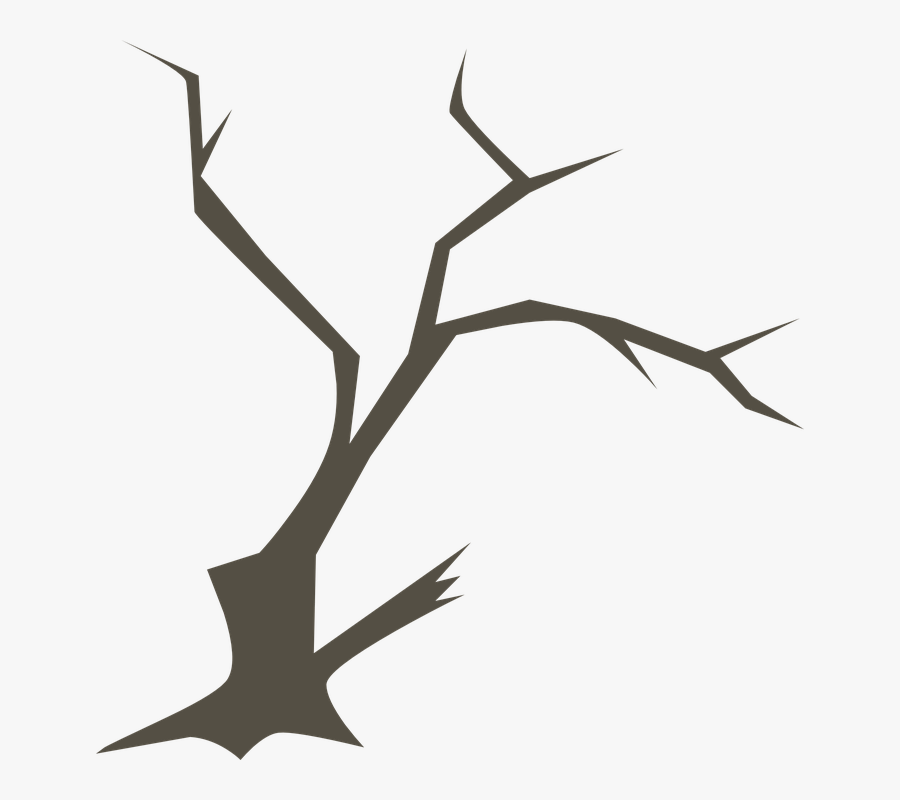 Tree, Branches, Nature, Branch, Forest, Woods, Wood - Ranting Vector, Transparent Clipart