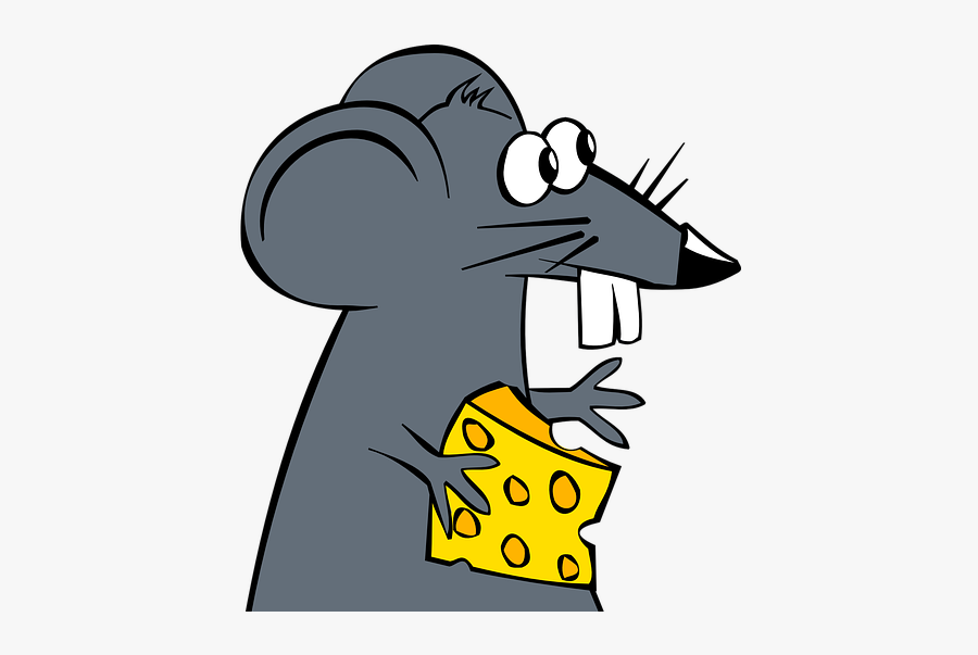 Program Evaluation And The Art Of Cheese Making, Transparent Clipart