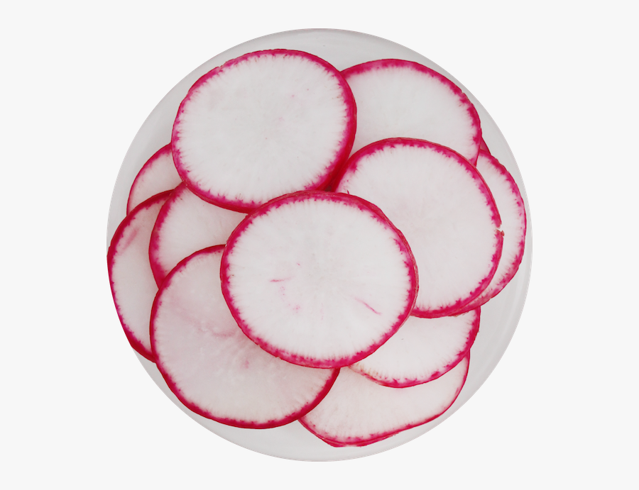 Root Vegetable, Transparent Clipart