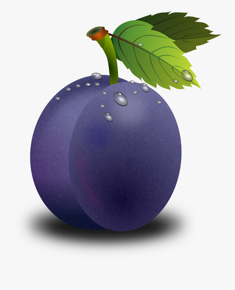Plum Clip Art, Transparent Clipart