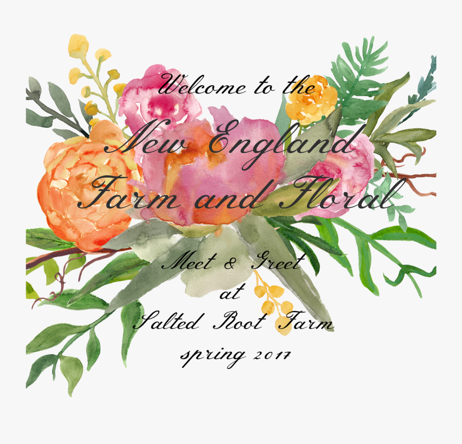 Clip Art Deborah Jean S Dandelion - Rosa Glauca, Transparent Clipart