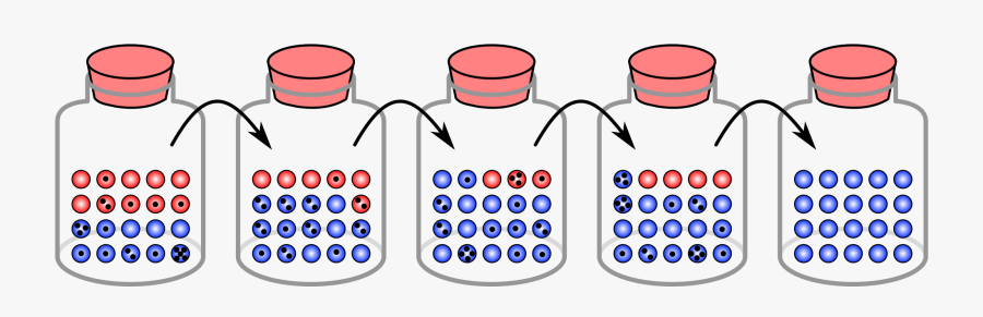 Genetic Drift, Transparent Clipart