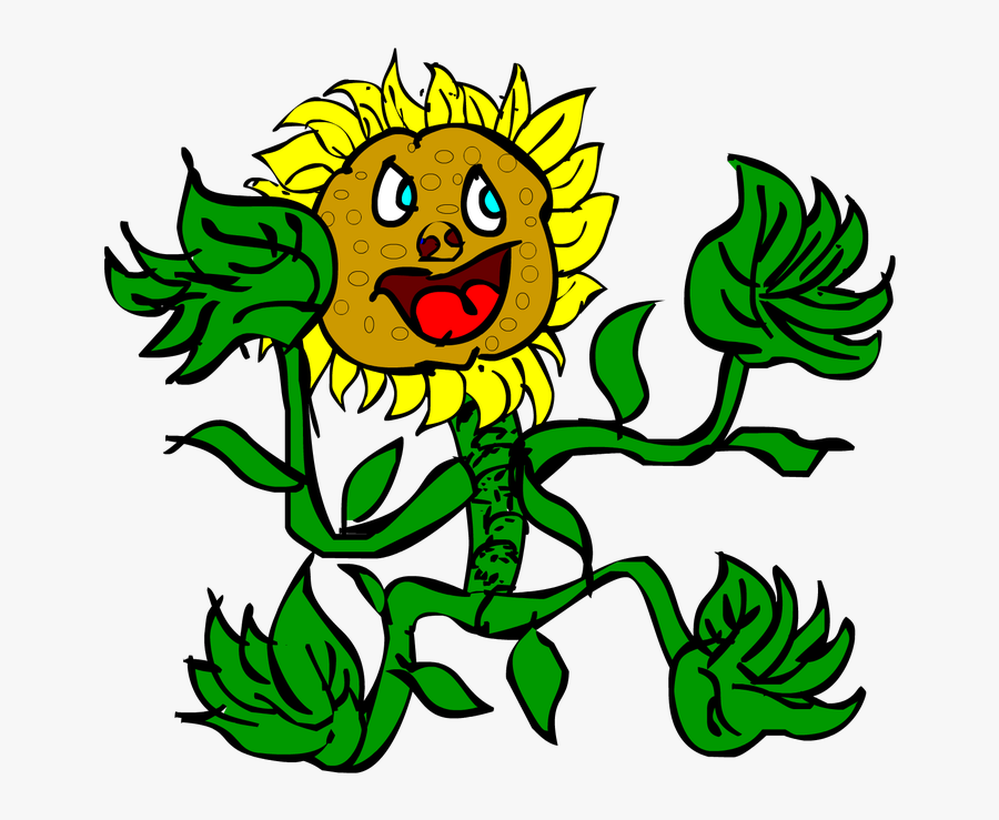 Picture, Transparent Clipart