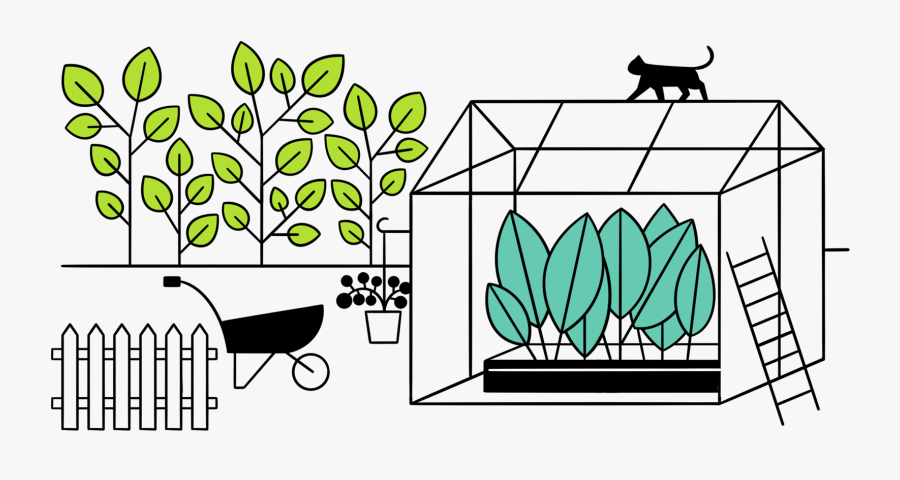 Foundation Grant - Cable Ide, Transparent Clipart