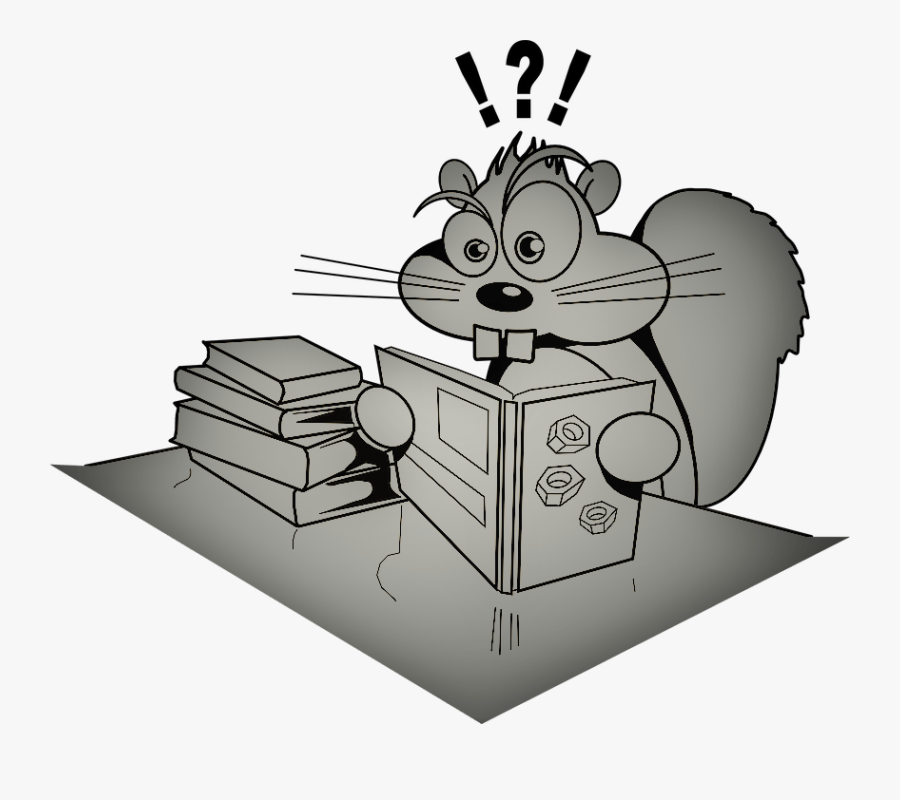 Squirrel Taking A Test, Transparent Clipart